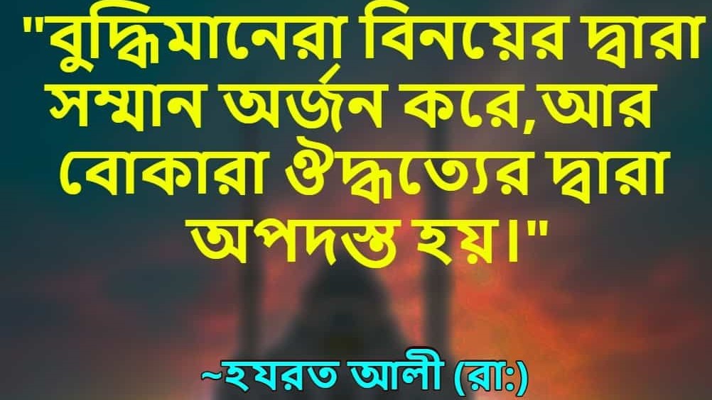 সম্মান-নিয়ে-হযরত-আলী-রাঃ-এর-বাণী-hazrat-ali-quotes-on-respect-in-bangla-bangla-bani-min